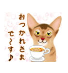 アビにゃん シンプルな日常会話（個別スタンプ：5）