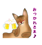 アビにゃん シンプルな日常会話（個別スタンプ：6）