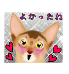 アビにゃん シンプルな日常会話（個別スタンプ：10）
