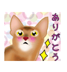 アビにゃん シンプルな日常会話（個別スタンプ：11）