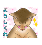 アビにゃん シンプルな日常会話（個別スタンプ：13）