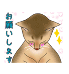 アビにゃん シンプルな日常会話（個別スタンプ：15）