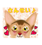 アビにゃん シンプルな日常会話（個別スタンプ：16）