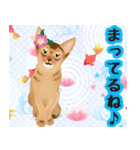 アビにゃん シンプルな日常会話（個別スタンプ：36）