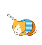 おでかけねこくん 日常！（個別スタンプ：5）