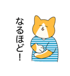 おでかけねこくん 日常！（個別スタンプ：10）