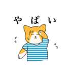 おでかけねこくん 日常！（個別スタンプ：12）