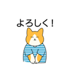 おでかけねこくん 日常！（個別スタンプ：13）