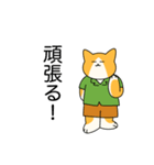 おでかけねこくん 日常！（個別スタンプ：24）