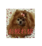 日常の会話プリンversion（個別スタンプ：2）