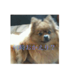 日常の会話プリンversion（個別スタンプ：8）