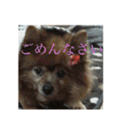 日常の会話プリンversion（個別スタンプ：12）