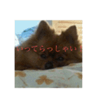 日常の会話プリンversion（個別スタンプ：22）