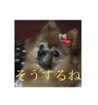 日常の会話プリンversion（個別スタンプ：24）