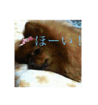 日常の会話プリンversion（個別スタンプ：25）
