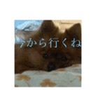 日常の会話プリンversion（個別スタンプ：30）