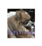 日常の会話プリンversion（個別スタンプ：32）