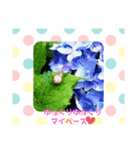 SUMMERday★（個別スタンプ：1）