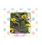 SUMMERday★（個別スタンプ：7）