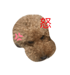 モコくんスタンプ1（個別スタンプ：5）