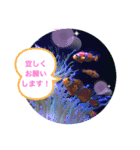 水族館のかわいい仲間たち♪（個別スタンプ：2）