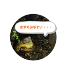 水族館のかわいい仲間たち♪（個別スタンプ：4）