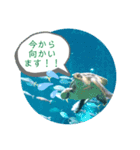 水族館のかわいい仲間たち♪（個別スタンプ：5）