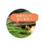 水族館のかわいい仲間たち♪（個別スタンプ：6）