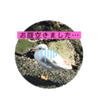 水族館のかわいい仲間たち♪（個別スタンプ：8）