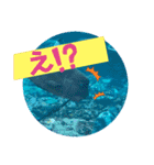 水族館のかわいい仲間たち♪（個別スタンプ：12）