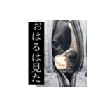 フレブル福ちゃん はるまきちゃんと一緒に（個別スタンプ：6）