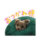 ミックスのわんちゃん（個別スタンプ：28）
