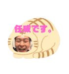 ToyTooy（個別スタンプ：24）