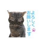 MONAKAの気持ち（個別スタンプ：4）