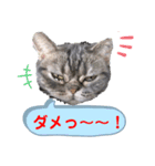 MONAKAの気持ち（個別スタンプ：6）