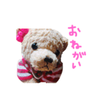 くぅーちゃんすたんぷ（個別スタンプ：27）