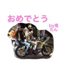 竜担 日常会話スタンプ（個別スタンプ：13）