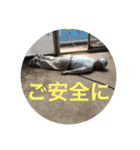 竜担 日常会話スタンプ（個別スタンプ：19）