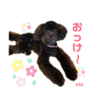 oto＊hana（個別スタンプ：17）