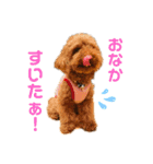 oto＊hana（個別スタンプ：19）