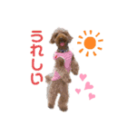 oto＊hana（個別スタンプ：23）
