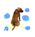 ぷりんたちと毎日楽しもう（個別スタンプ：3）