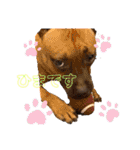 ぷりんたちと毎日楽しもう（個別スタンプ：4）