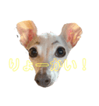 ぷりんたちと毎日楽しもう（個別スタンプ：5）