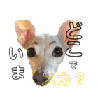 ぷりんたちと毎日楽しもう（個別スタンプ：8）