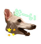 ぷりんたちと毎日楽しもう（個別スタンプ：14）