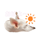 ぷりんたちと毎日楽しもう（個別スタンプ：15）