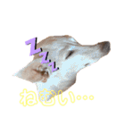 ぷりんたちと毎日楽しもう（個別スタンプ：16）
