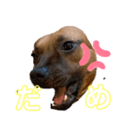ぷりんたちと毎日楽しもう（個別スタンプ：18）