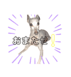 ぷりんたちと毎日楽しもう（個別スタンプ：22）